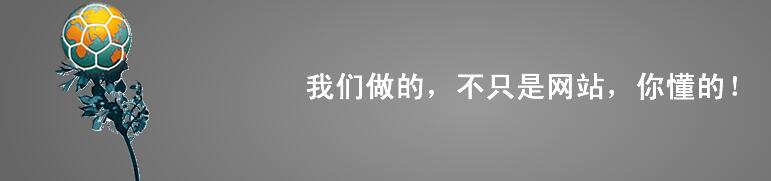 我們做的不只是網(wǎng)站，你懂得